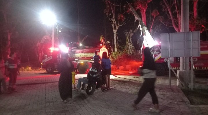 Si Jago Merah Melalap Lahan di Belakang Ponpes Shafiyah Gitik